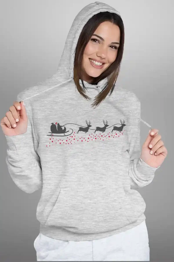 FSRD-HDI-LGY_3 Santa Sledge Hoodie Unisex | 300 GSM Fleece Winter Wear